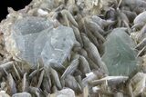 Aquamarine Crystals On Muscovite With Fluorite - Pakistan #170749-1